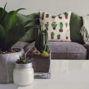 Silk Cushions