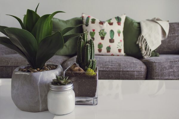Silk Cushions